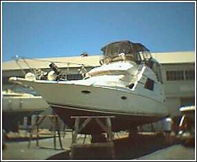 yard1.jpg